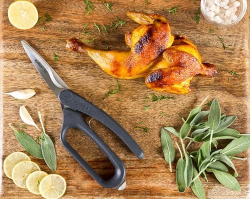 Zyliss All Purpose Shears - Stainless Steel, Heavy-Duty Kitchen Scissors for Food - Spring-Assisted Chef Scissors for Poultry, Vegetables & More - Dishwasher Safe - Multi-Purpose Kitchen Tool