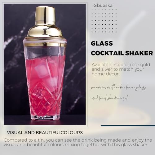 Glass Cocktail Shaker 14.5oz with Strainer
