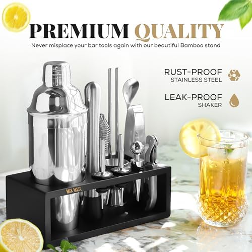 Mixology Bartender Kit with Stand - 15 Piece Bar Tool Set, Silver Bar Set Cocktail Shaker Set for Drink Mixing - Includes Martini Shaker, Jigger, Strainer, Bar Mixer Spoon, Tongs, Opener | Gift Idea