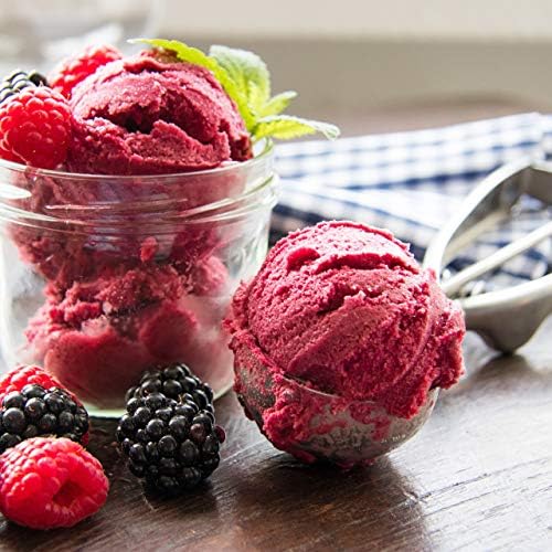 Relaxdays Stainless Steel Ice Cream Scoop with Trigger for Ice Cream Fruit