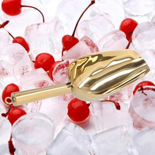 Alvinlite Stainless Steel Ice Scoop 8Oz, 9" Round Bottom Ice Cream Scooper with Hanging Ring for Ice Maker freezer, Small Food Scoops for Bar Party Wedding Pet Dog Kitchen