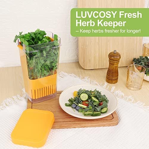 LUVCOSY Fresh Herb Keeper for Refrigerator, Clear BPA-Free Herb Saver, Storage Container for Cilantro, Parsley, Thyme, Mint & Asparagus, Preserver Keeps Fresh Herbs for 3 Times Longer, Orange