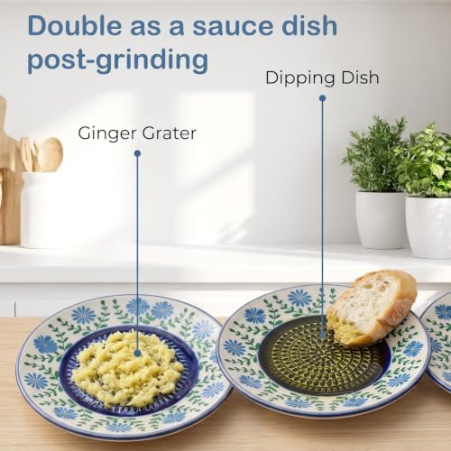 Ceramic Garlic Grater Plate Set - 4PCS Ginger Grater Dish with Silicone Peeler, Brush & Display Stand, Spanish Tomato Grater, Porcelain Mincing Plate, Herb Stripper Kitchen Tool