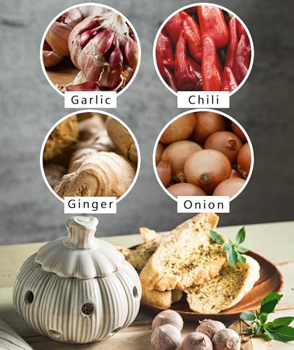 Ceramic Garlic Keeper for Counter, Large Garlic Storage with Lid