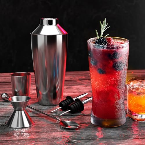 Bar Set Cocktail Shaker Set Bartender Kit, 8 Piece Silver Cocktail Set, Mixology Bartender Kit, Steel Drink Shakers Cocktail Kit, Bar Accessories: 24oz Martini Shaker, Muddler, Cocktail Book and More