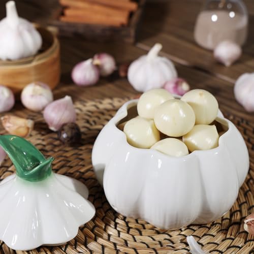 TOIVO Garlic Keeper for Counter，with Lid and Holes GarlicSaver,Garlic Holder Storage Container toKeep (white)