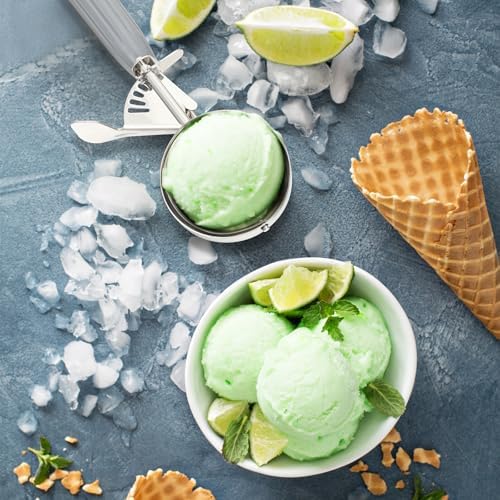 Reallnaive 6 Pcs Ice Cream Scooper with Trigger, 4 oz, Gray