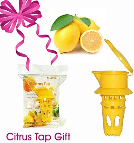 Jumbo Size FLAT PRESS 100% Stainless Steel Lemon Squeezer (LS0003) + Free Citrus Tap