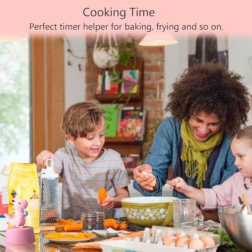 Visual Timer for Kid, Toddler Kitchen Timer 60 Min Countdown, Pink Dinosaur