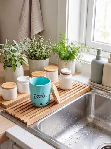 Ceramic Garlic Keeper for Counter with Wood Lid (Turquoise)