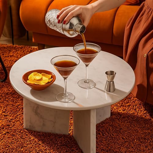 VEMACITY Silver Cocktail Shaker Set + 2 Ribbed Martini Glasses & Bar Tools