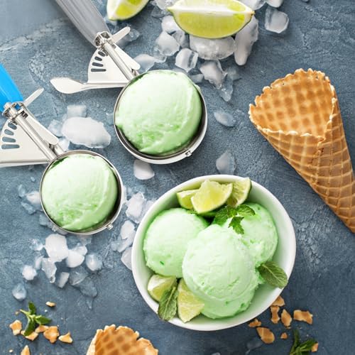 Reallnaive 2 Pcs Ice Cream Scooper with Trigger, 2 Oz+4 oz, Blue and Gray