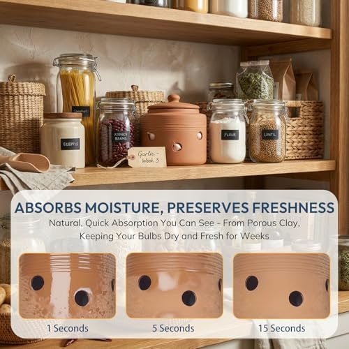 Garlic Keeper for Counter, Garlic Storage Container with Lid, Terracotta Garlic Holder to Keep Garlic Fresher Longer, 4.3 inches