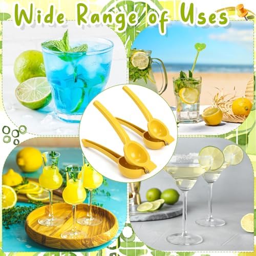 2 Pcs Handheld Lemon Squeezer Metal Juicer Seed Catcher
