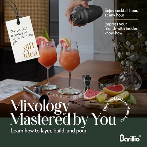 Barillio Black Mixology Bartender Kit - 8 pcs Stainless Steel Travel Cocktail Shaker Set with Bag - Bar Tools Set & Martini Shaker, Drink Mixer Spoon & Mojito Muddler for Cocktails, Pourers & Jigger