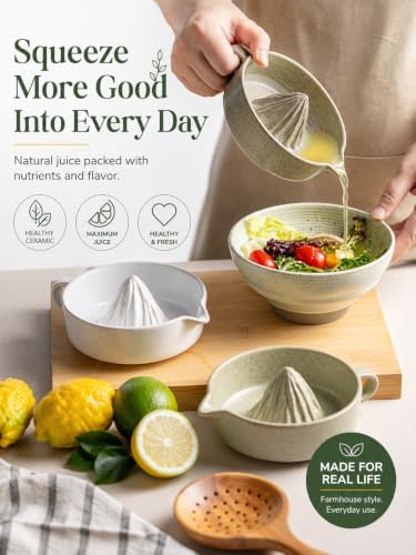 Ceramic Lemon Juicer Manual Hand Juicer Orange Squeezer Bowl with Handle
