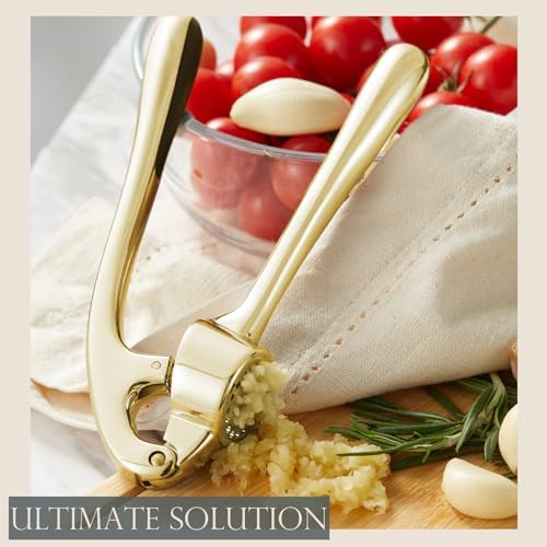 Kitessensu High Effective Garlic Press With Studs, Heavy Duty Garlic Mincer, Easy to Squeeze and Clean, Rust Proof, Ginger Crusher - Golden