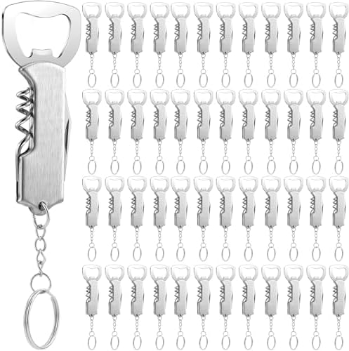 Ziliny 48 Pcs Wine Bottle Opener Keychains Bulk Corkscrew, Silver