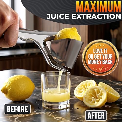 Handheld Lemon Squeezer Stainless Steel, Fold-Flat Design
