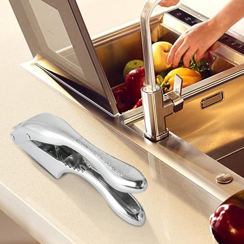 2-in-1 Stainless Steel Garlic Press & Ginger Slicer with Ergonomic Handle