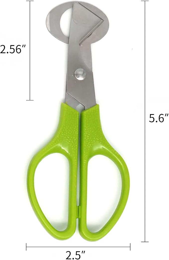 10 Pieces Stainless Steel Quail Egg Cutter Pigeon Quail Egg Shell Cutter Scissors Cracker Opener Clipper Kitchen Tools, Green