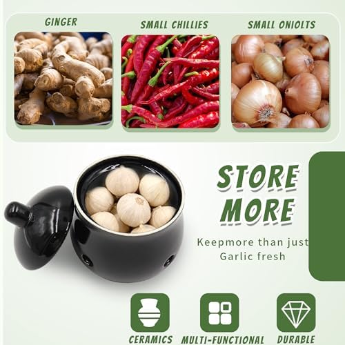Small Garlic Keeper for Counter, Ceramic Garlic Holder Storage Jar with Lid