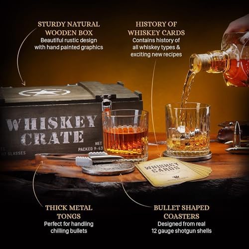Bullet Whiskey Stones Gift Set for Men, Steel Rocks & Bourbon Glasses
