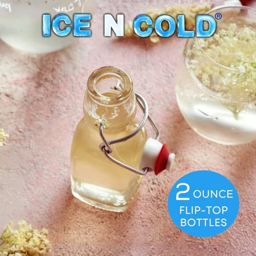 ICE N COLD Glass Swing Top Bottles | Flip Top Glass Bottles for Limoncello, Syrups, Oils, Vinegar, Extracts & Beverages | Airtight Reusable Glass Bottles (6-Pack, MINI (60ml | 2oz))