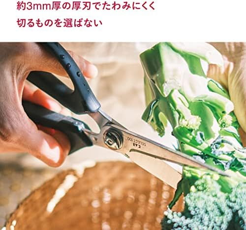 Kitchen Scissors (DH-3005)