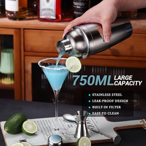 Cocktail Shaker Set Bartender Kit with Stand, 12 Piece Drink Mixer Set with Stainless Steel Bar Accessories Tools: 25oz Martini Shaker Jigger Strainer Spoon Muddler for Cocktails (Silver)