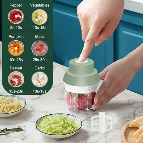 Electric Garlic Chopper, 250ML Garlic Mincer with Egg Beater