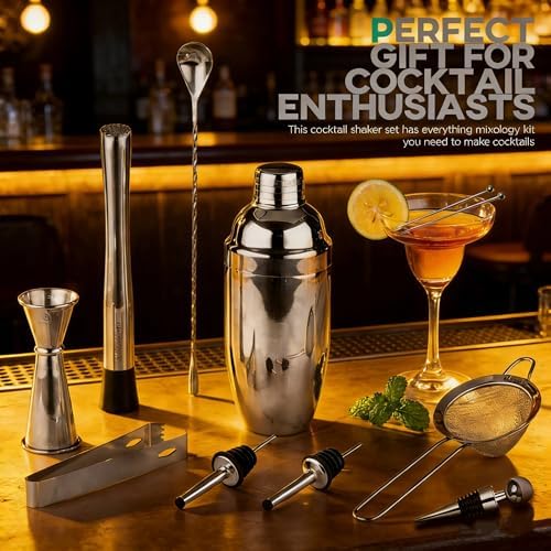 Homestia Stainless Steel Bartending Kit – Cocktail Shaker Bar Tool Set