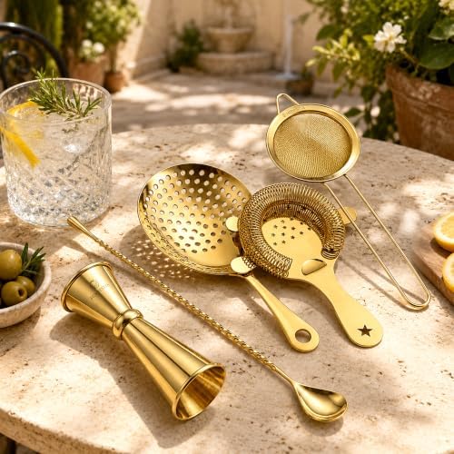 Homestia 5 Pcs Cocktail Strainer Set, Stainless Steel Bar Tools Set, Gold