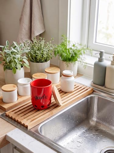 Ceramic Garlic Keeper for Counter with Wood Lid (Red)