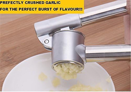Oye Stainless Steel Garlic Press