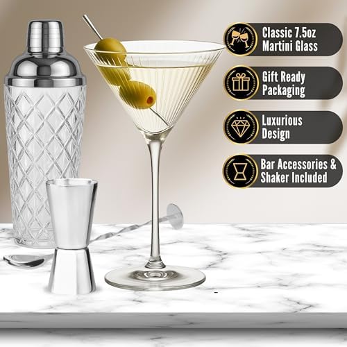 VEMACITY Silver Cocktail Shaker Set + 2 Ribbed Martini Glasses & Bar Tools