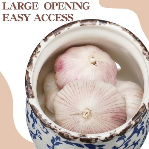 Honeydak Blue and White Porcelain Garlic Keeper with Lid 4.2" x 4" Ceramic Garlic Container for Counter Storage Countertop Holder Breathable Design for Chili Ginger Modern Farmhouse Home Kitchen Decor