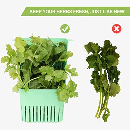 LUVCOSY 3 Pack Herb Keeper, BPA-Free Plastic Herb Saver with an Inner Basket for Cilantro, Mint, Parsley, and Asparagus, Keeps Fresh Herbs for 3 Times Longer
