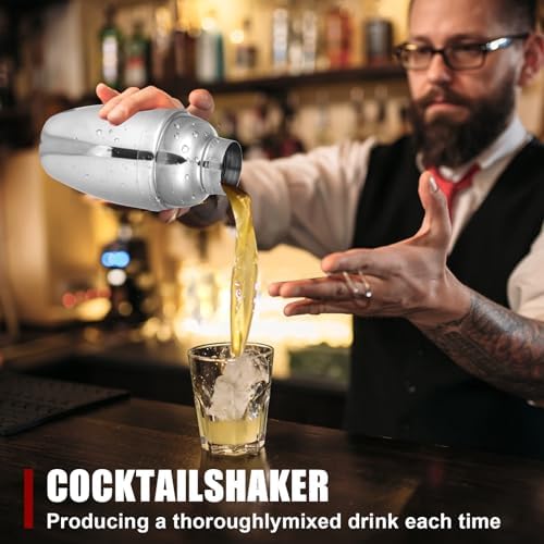 6PCS Mini Cocktail Shaker, Drink Shakers Cocktail,Stainless Mini Martini Shaker, Cocktail Shaker With Strainer, for Bar Tending, Espresso Shaker, for Bar Party Home Drink Mixers (8 OZ)