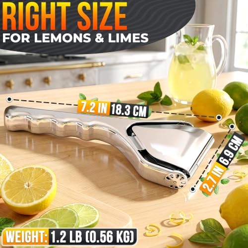 Handheld Lemon Squeezer Stainless Steel, Fold-Flat Design