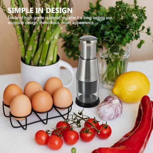 Zerodeko Manual Garlic Crusher 6.29 Inch Stainless Steel Garlic Press Multi-Function Vegetable Cutter Kitchen Tool for Food Prep and Cooking