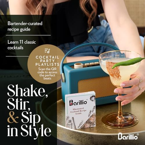Barillio Black Boston Shaker Set - Stainless-Steel, Weighted Martini Cocktail Shaker Set w/Strainer & Mixer - Mixology Bartender Kit - Bar Set for the Home - 9-pc Drink Set - Bar Tools