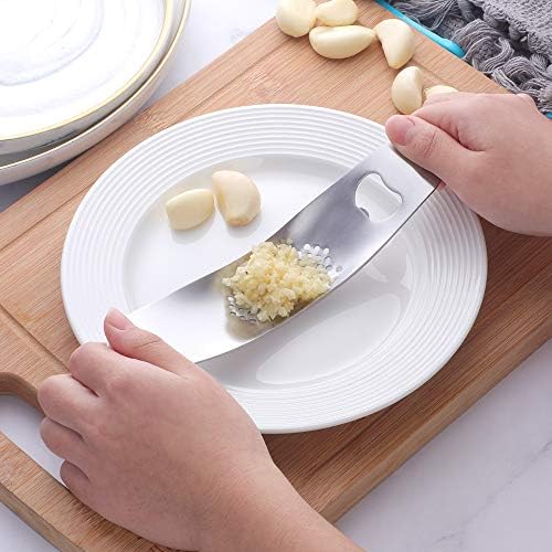 Stainless Steel Garlic Press Mincer,Kitchen Gadget with Handle,Easy Use &Clean, Dishwasher Safe,for Nuts & Seeds (silver)