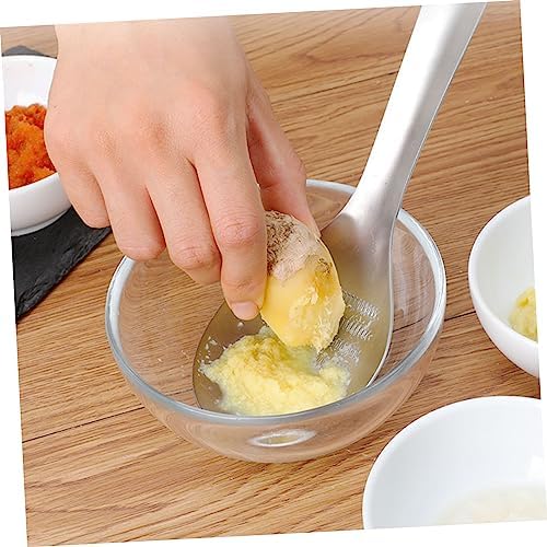 2pcs Stainless Steel Garlic Press Ginger Grater Zester Spoon Fruits Root Vegetable Zester Spoon