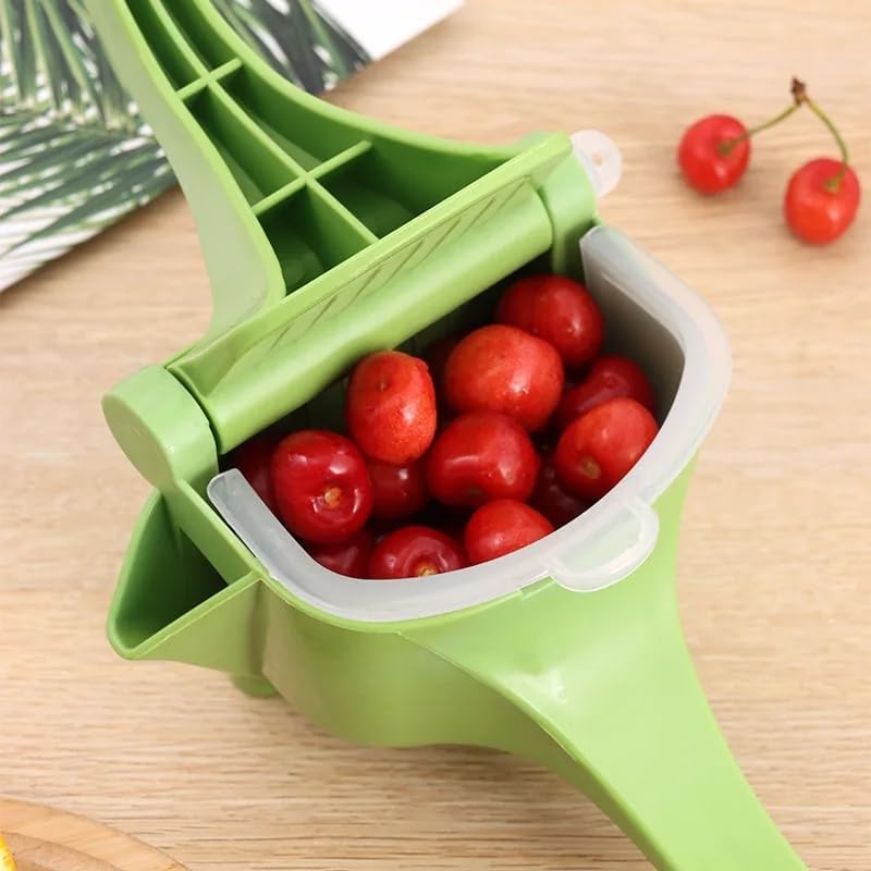 Ailsion Stainless Steel Juice Press, Heavy Duty Manual Fruit Juicer, Orange Squeezer Hand Press