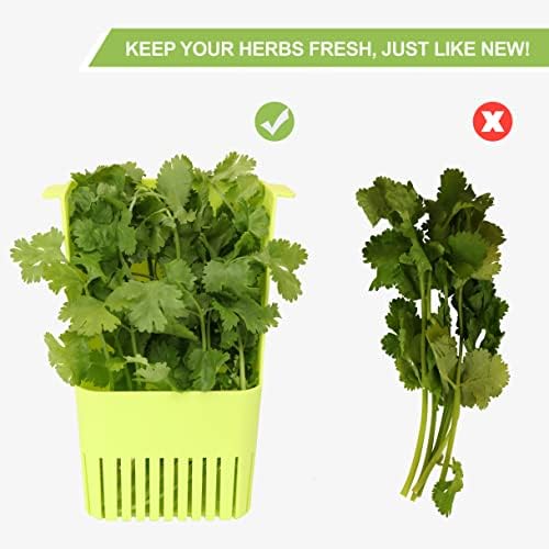 LUVCOSY Fresh Herb Keeper for Refrigerator, Clear BPA-Free Herb Saver, Storage Container for Cilantro, Parsley, Thyme, Mint & Asparagus, Preserver Keeps Fresh Herbs for 3 Times Longer, Green & Orange