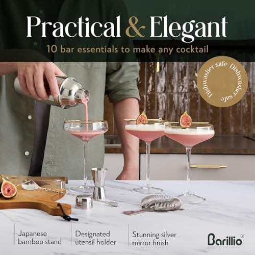Barillio Bartender Kit - Stainless-Steel Cocktail Shaker Set with Bamboo Stand - Mixology Bar Tools w/Shaker, Drink Mixer Spoon & Muddler for Cocktails - Home Bar Accessories - 10-Pc Bar Set - Silver