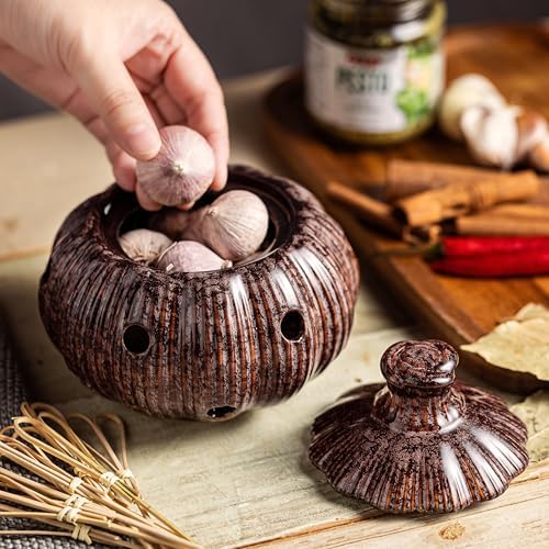 Ceramic Garlic Keeper Jar and Lid, Large Garlic Holder Storage