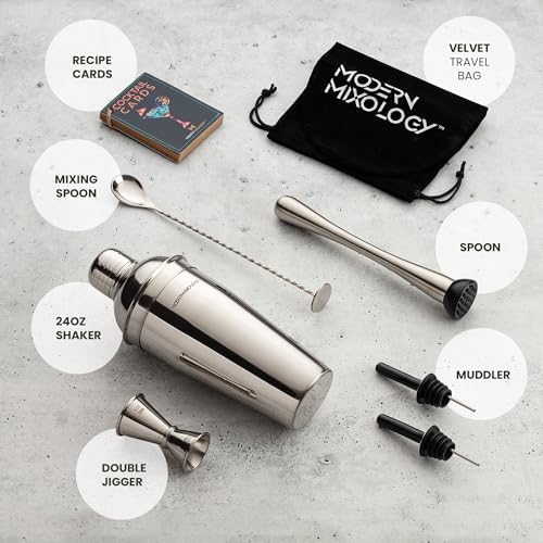 Modern Mixology 8-Piece Cocktail Shaker Set with Velvet Bag | Complete Kit for Bartenders | Includes Shaker with Strainer, Jigger, Muddler, Spoon, Pourers | Travel Bar Essentials (Silver)