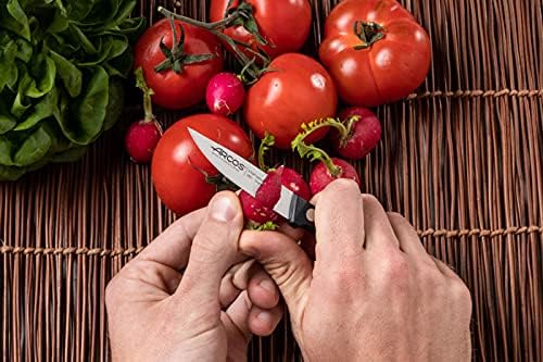Arcos Paring Knife 3 Inch Stainless Steel. Kitchen Knife for Peeling Fruits and Vegetables. Ergonomic Polyoxymethylene Handle and 75mm Blade. Series Universal. Color Black
